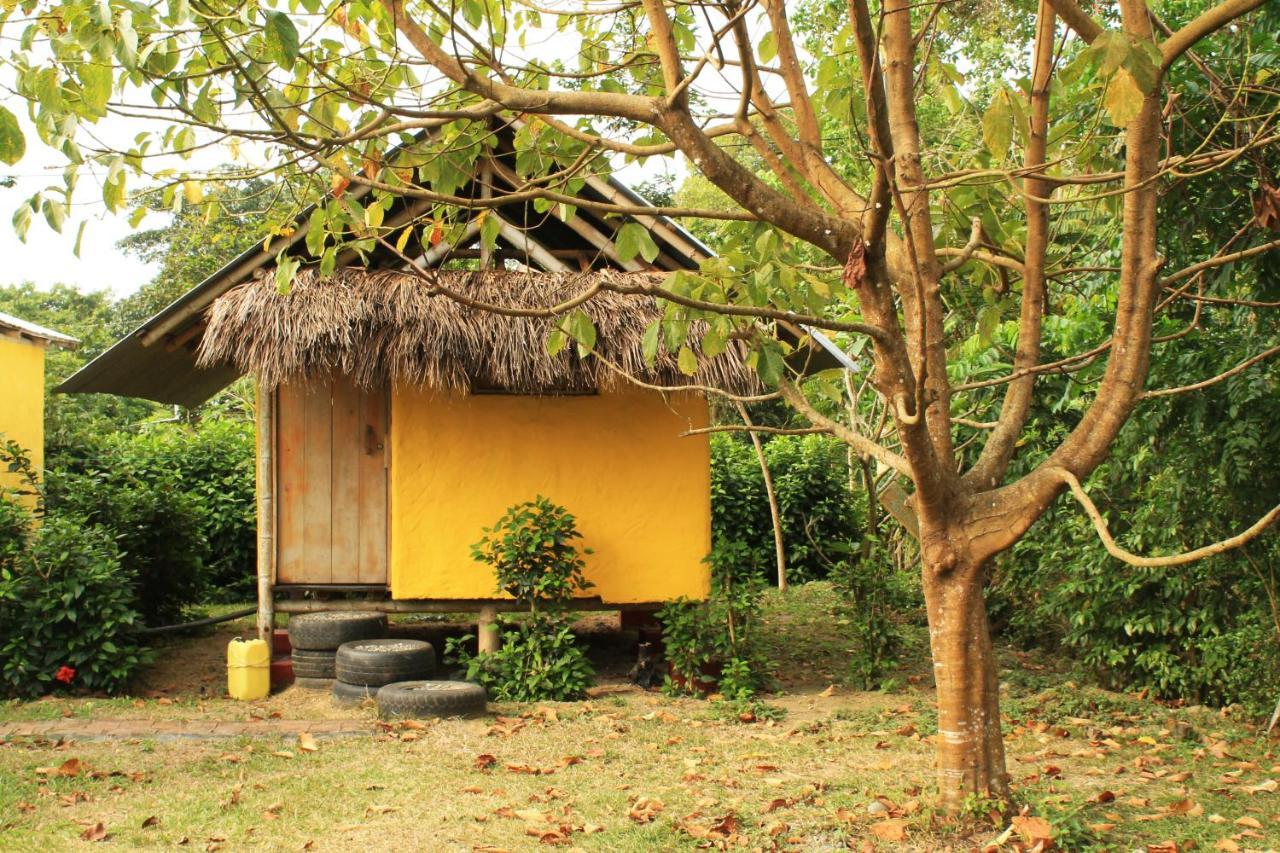 Maracumbo Lodge Mompiche Exteriér fotografie